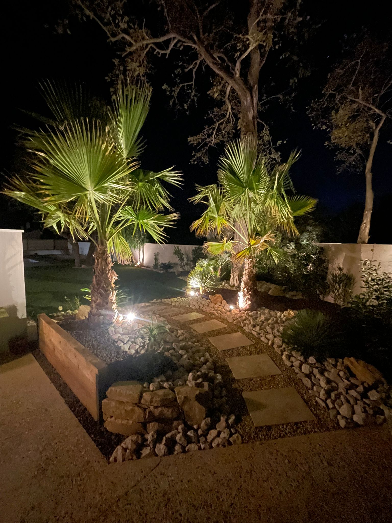 Jardin méditerranéen avec palmiers et éclairage nocturne — Pourcieux, Var
